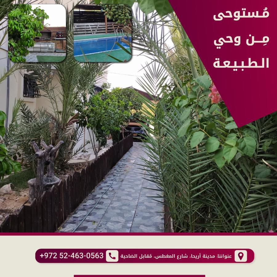 Magtas Hotel Jericho Exterior photo