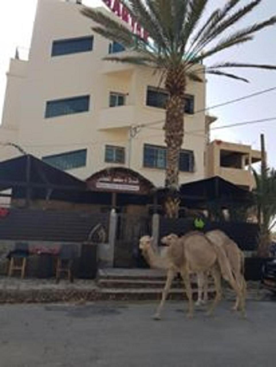 Magtas Hotel Jericho Exterior photo